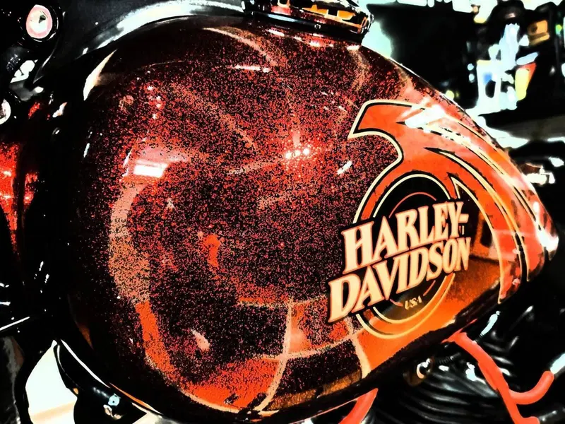 Harley-Davidson 1690 Street Bob Special (2015 - 16) - FXDB (17)