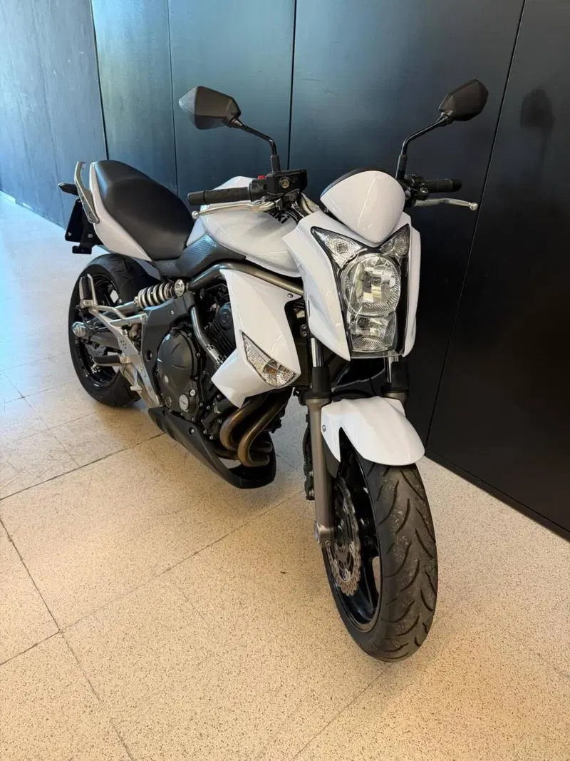 Kawasaki ER-6N (2006 - 09) (3)