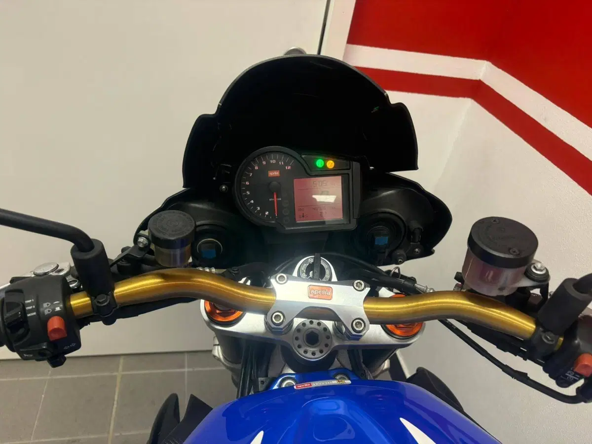 Aprilia Tuono 1000 R (2006 - 10) (4)