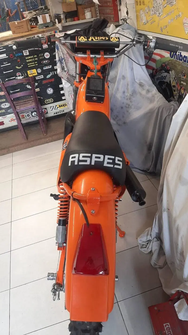 Aspes hopi (4)