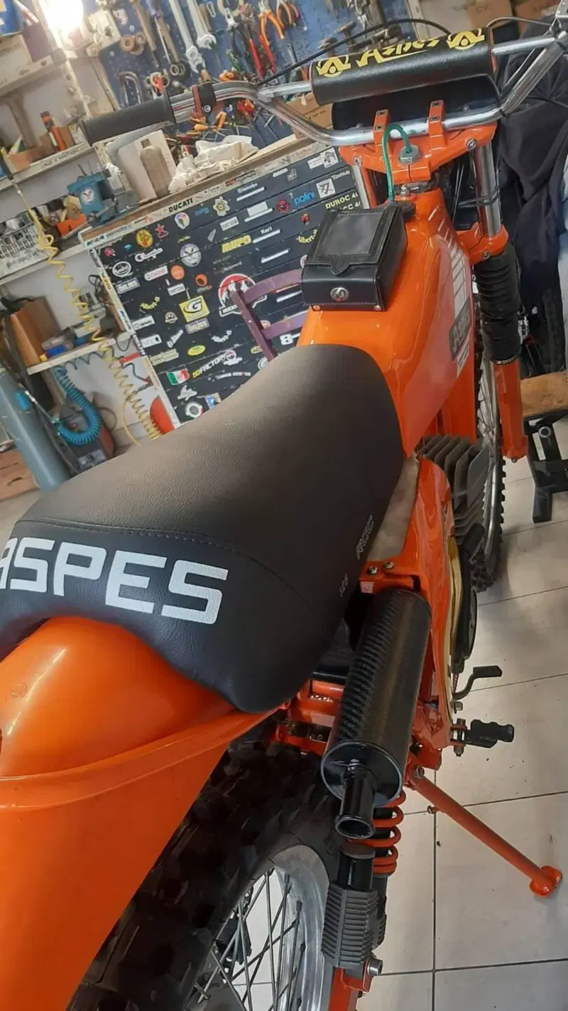 Aspes hopi (5)