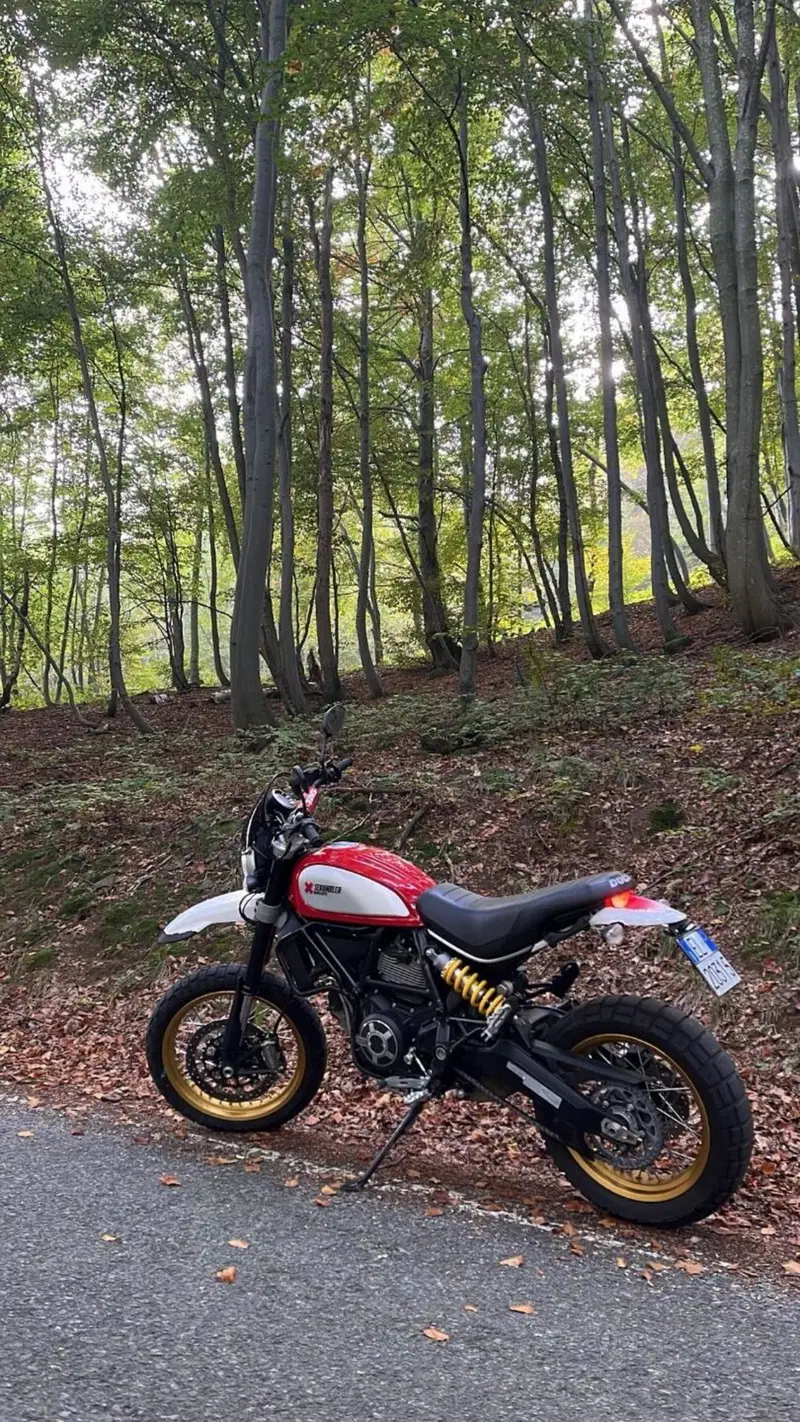 Ducati Scrambler 800 Desert Sled (2017 - 20) (2)