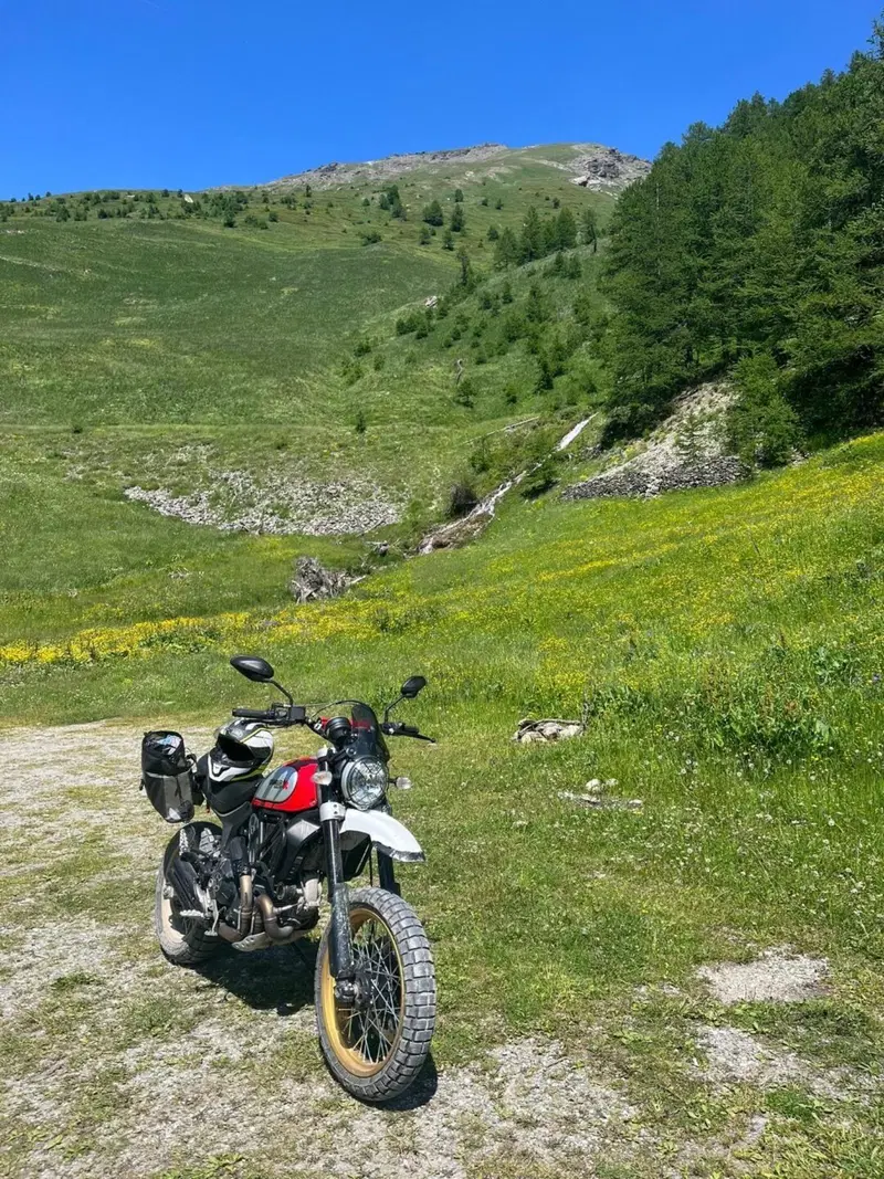 Ducati Scrambler 800 Desert Sled (2017 - 20) (4)