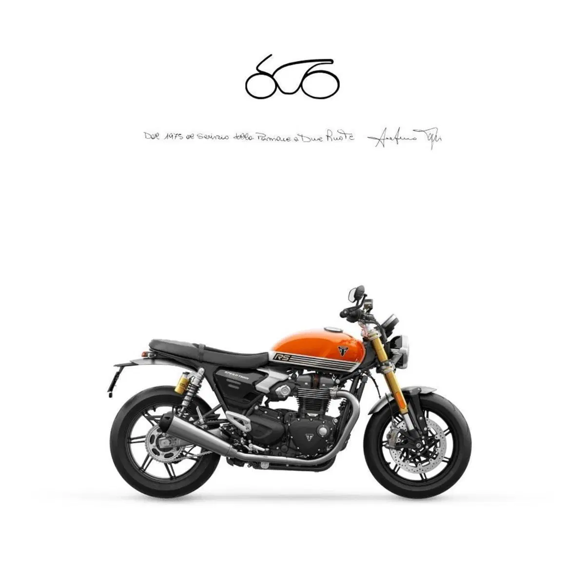 Triumph Speed Twin 1200 (2025 - 26)