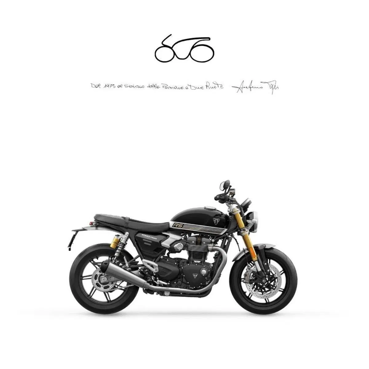 Triumph Speed Twin 1200 RS (2025 - 26)