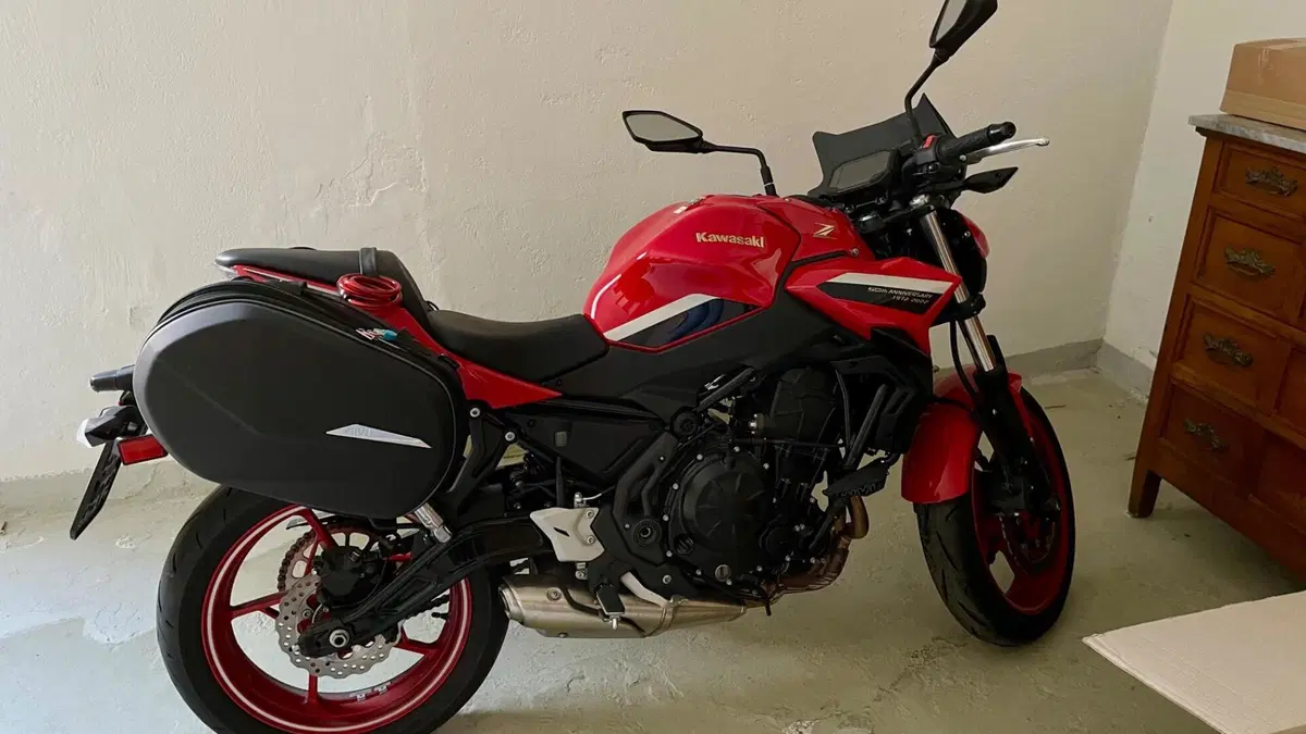 Kawasaki Z 650 50th Anniversary (2022 - 23) (3)