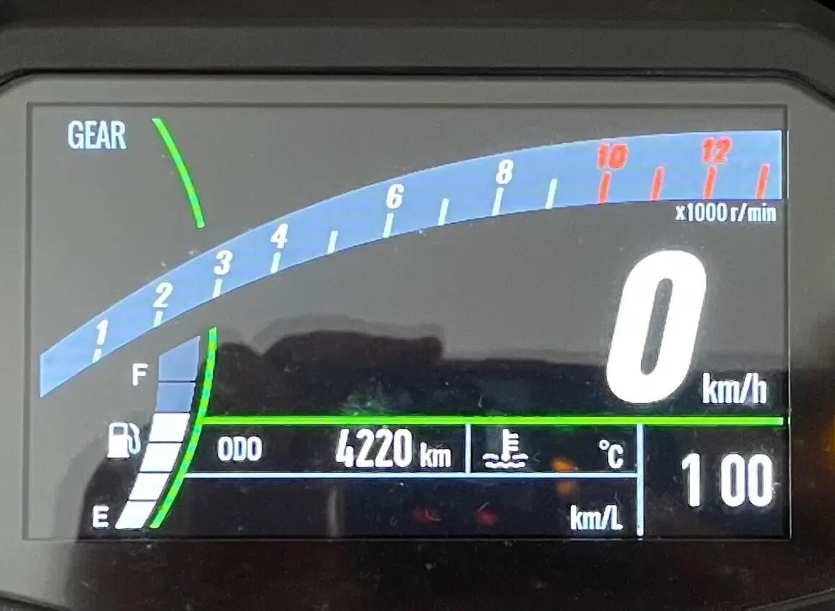 Kawasaki Z 650 50th Anniversary (2022 - 23) (6)