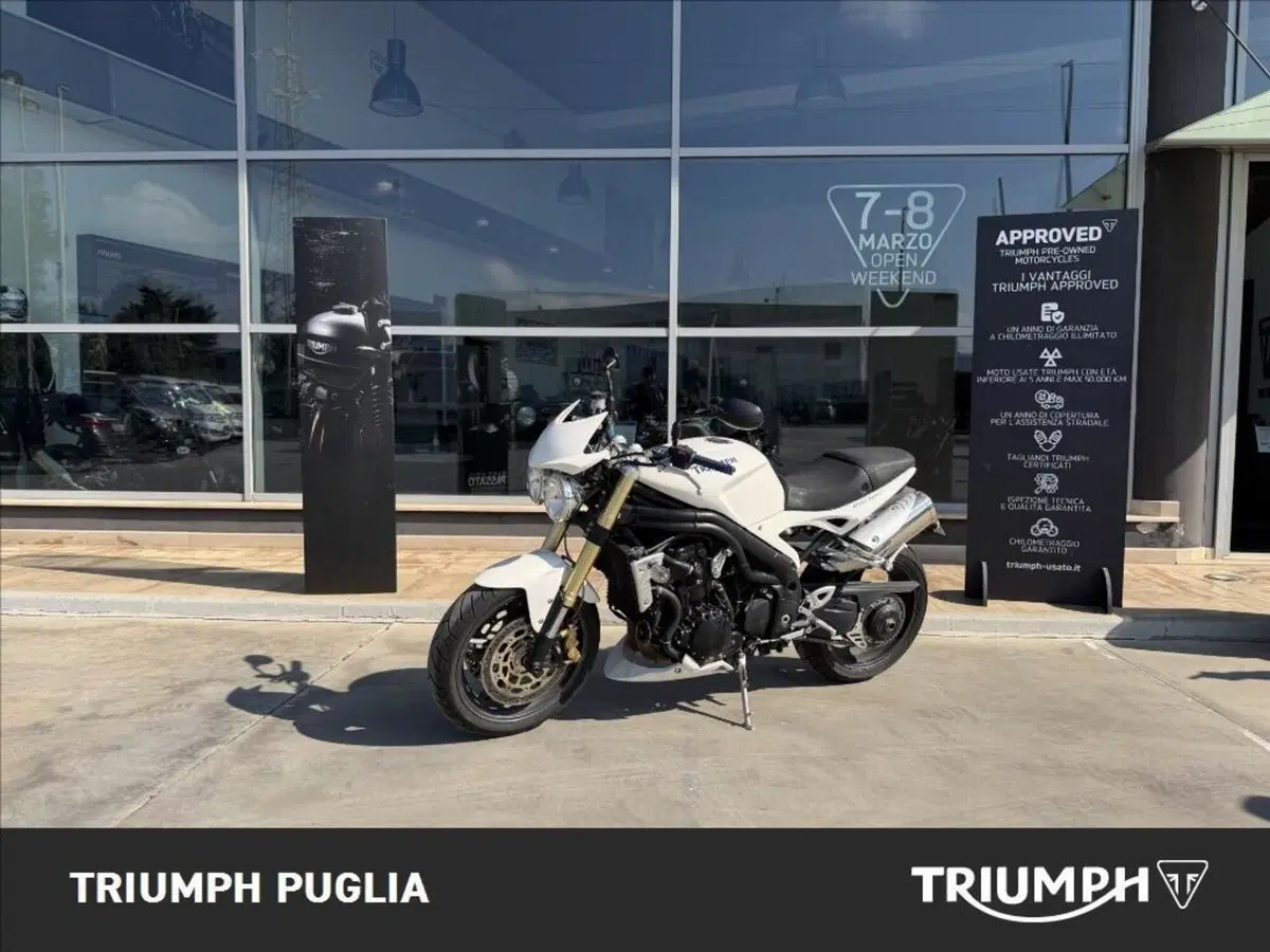 Triumph Speed Triple 1050 (2005 - 11) (2)