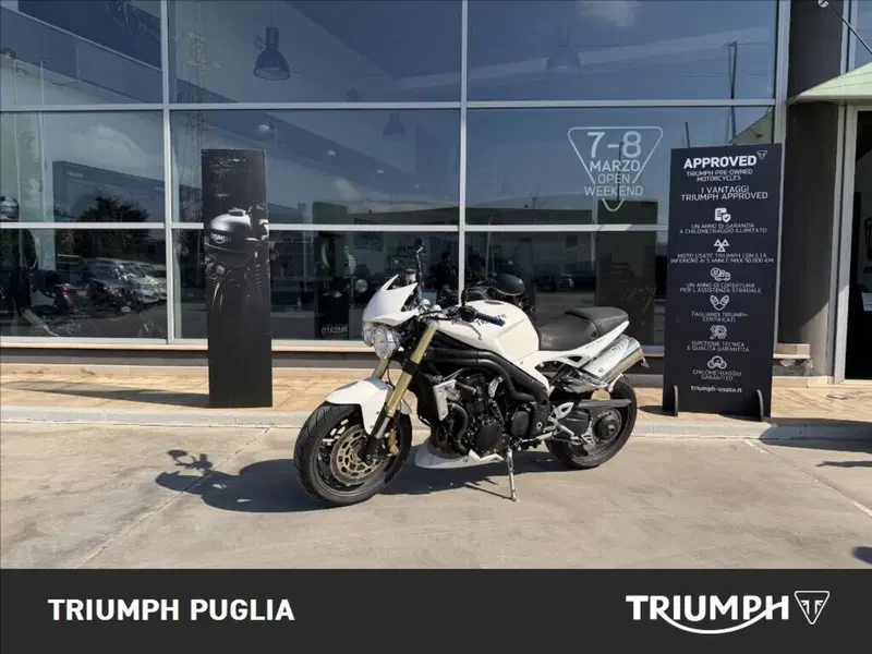 Triumph Speed Triple 1050 (2005 - 11) (2)