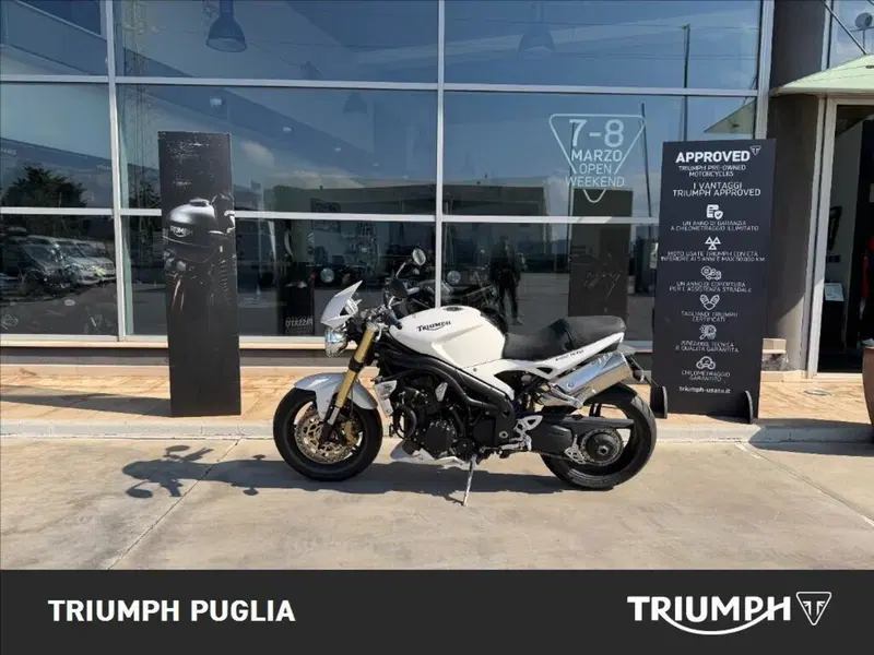Triumph Speed Triple 1050 (2005 - 11)