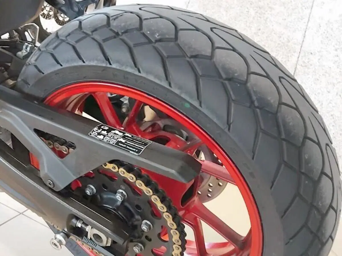 Suzuki GSX-8R (2024 - 26) (2)