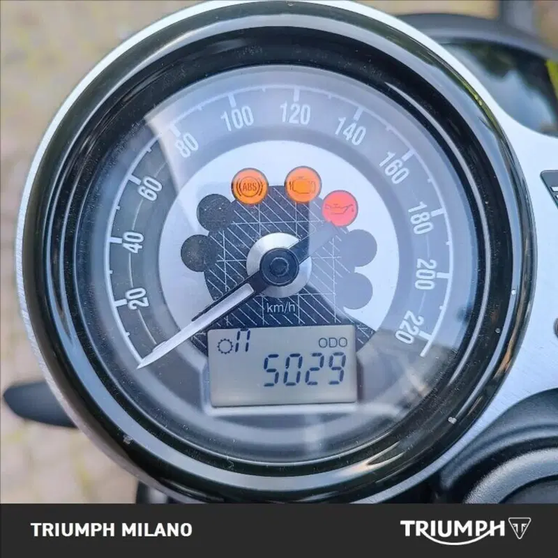 Triumph Speed Twin 1200 (2019 - 20) (6)