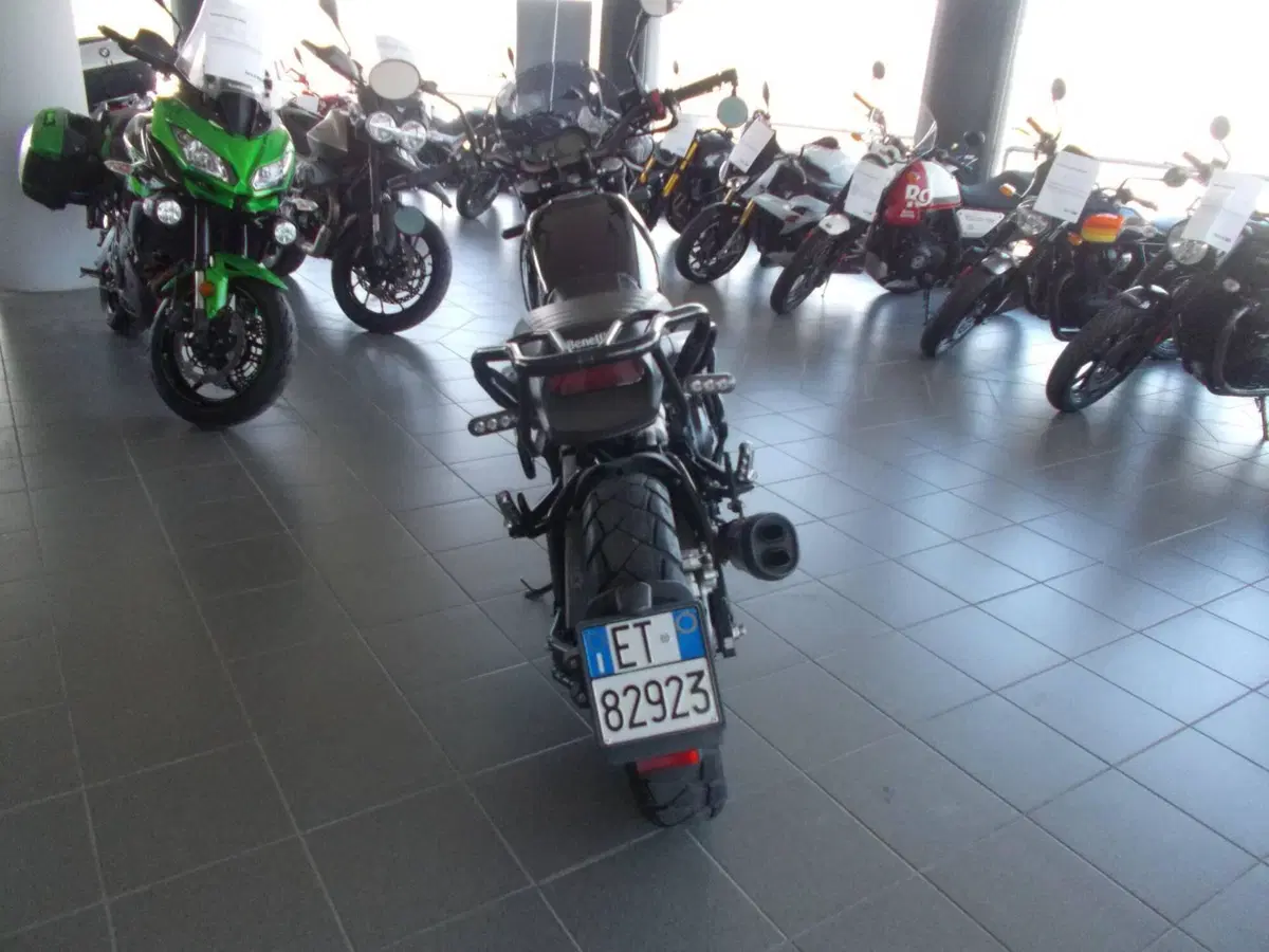 Benelli Leoncino 500 Trail ABS (2017 - 20) (3)