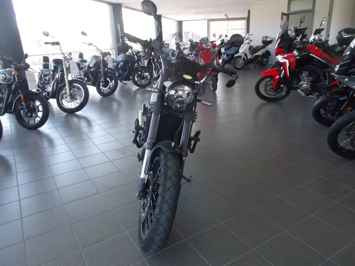 Benelli Leoncino 500 Trail ABS (2017 - 20) (5)