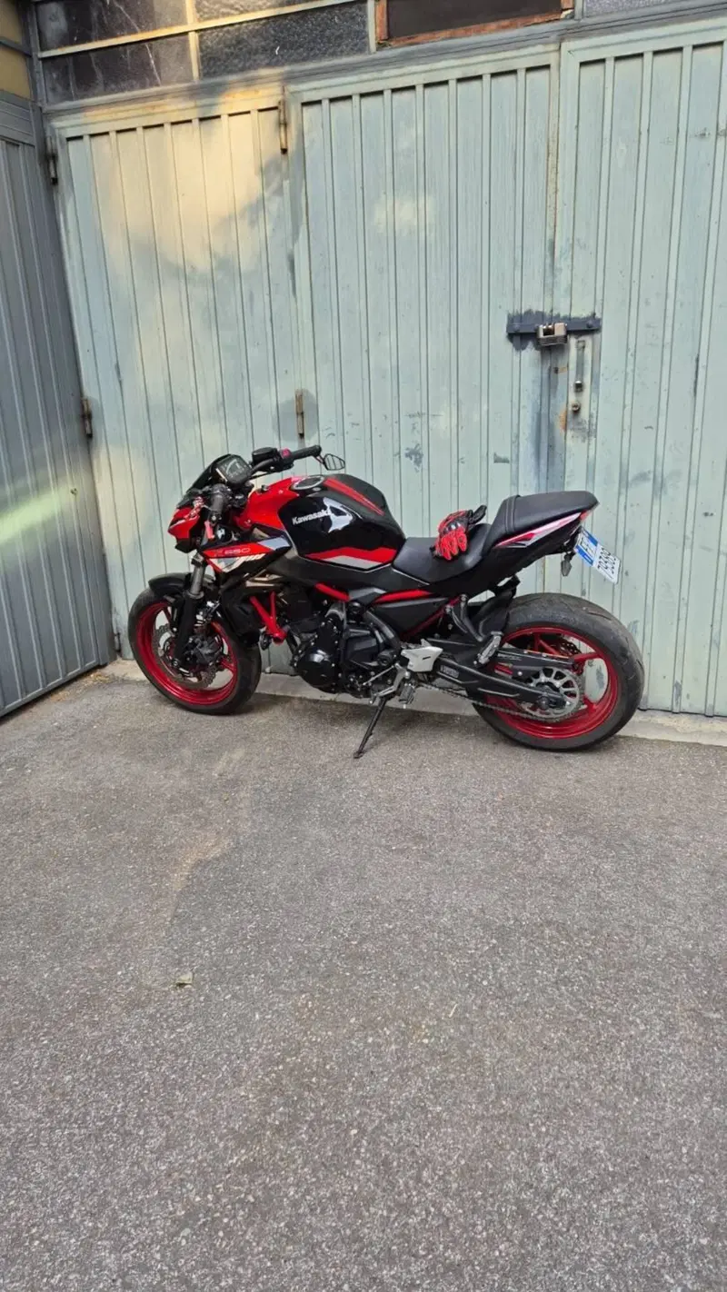 Kawasaki Z 650 (2021 - 24)