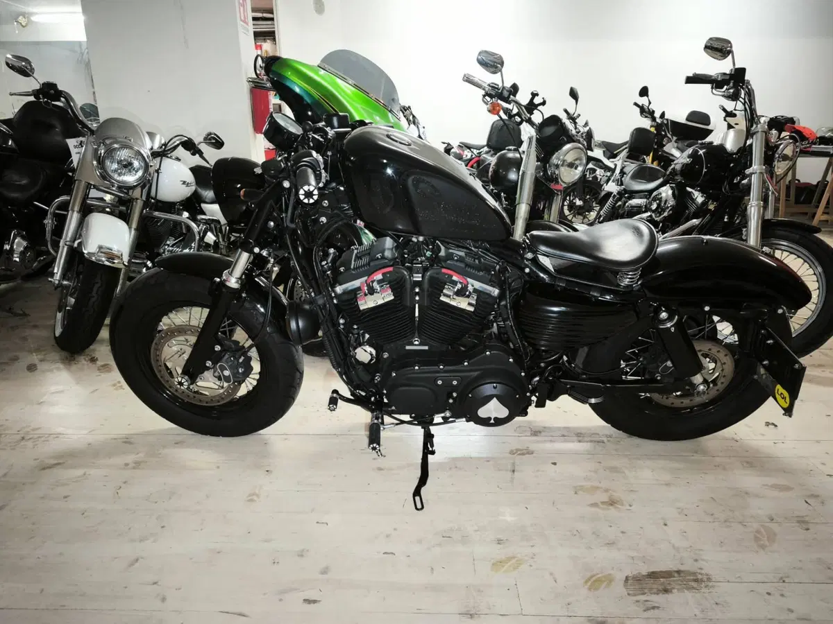 Harley-Davidson 1200 Forty-Eight (2010 - 15) (3)