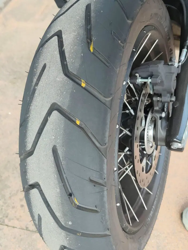 Bmw F 900 GS (2024 - 26) (6)