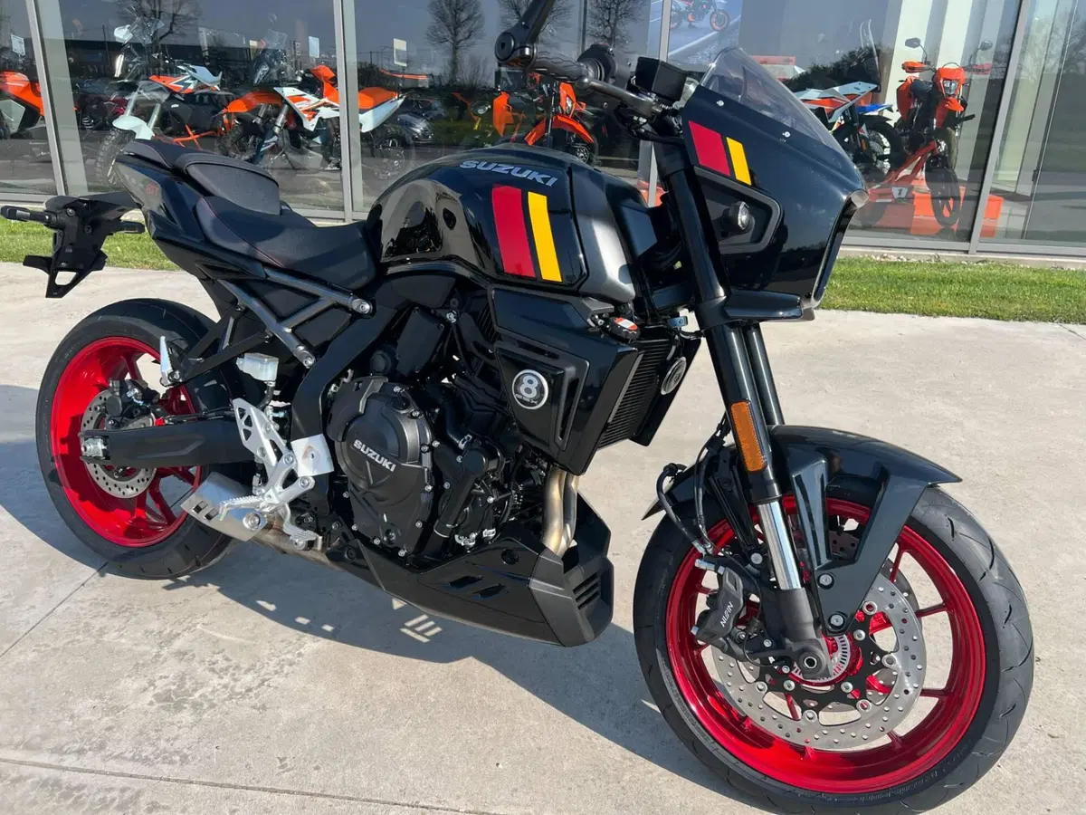 Suzuki GSX-8TT (2025 - 26) (8)