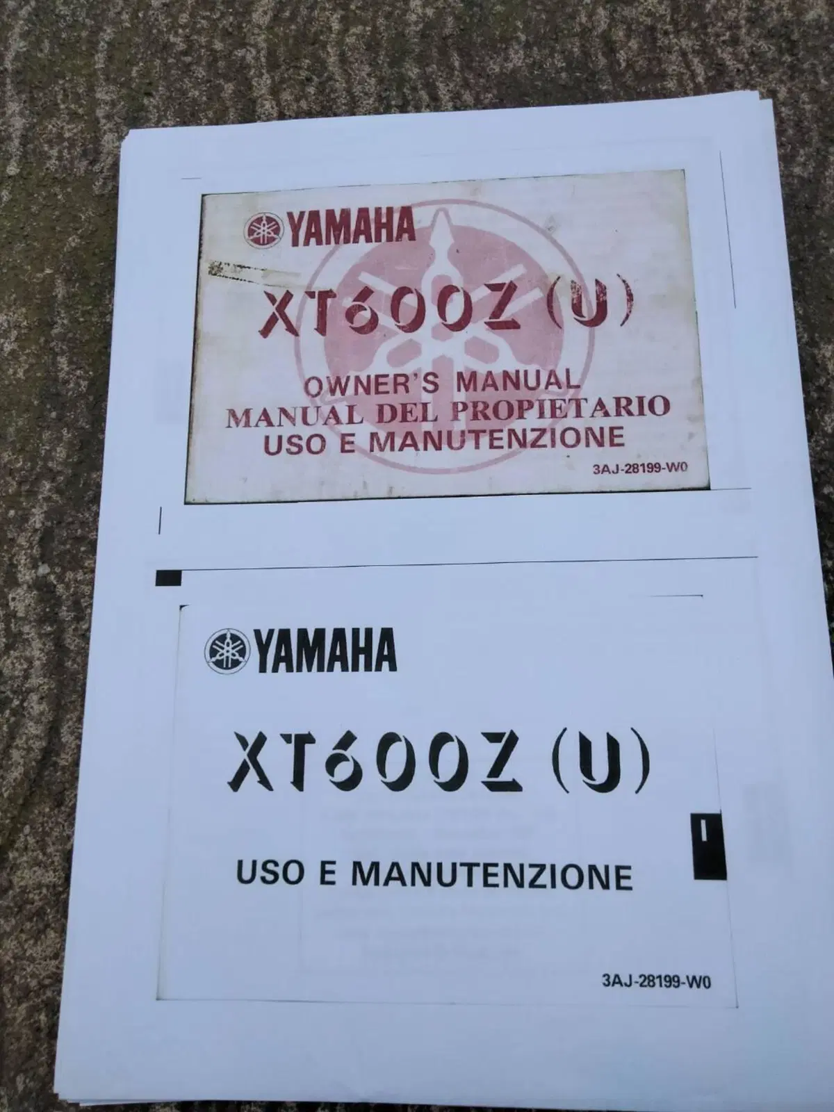 Yamaha XT 600 Z A (1989 - 92) (5)