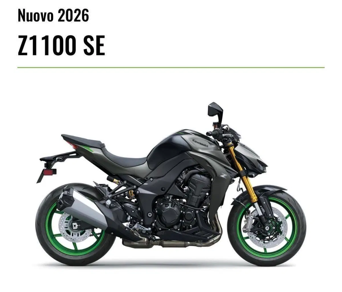 Kawasaki Z 1100 SE (2026)
