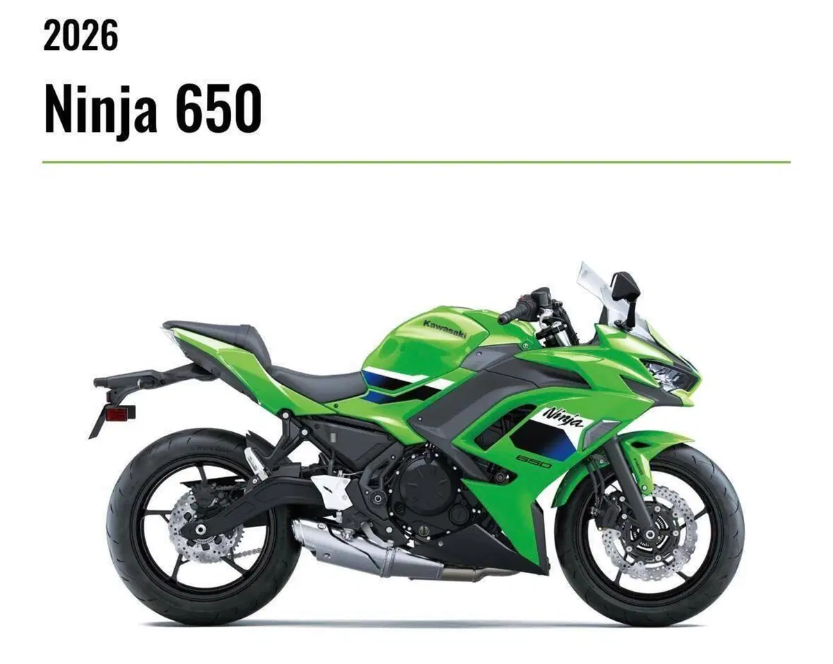 Kawasaki Z 650 (2025 - 26)