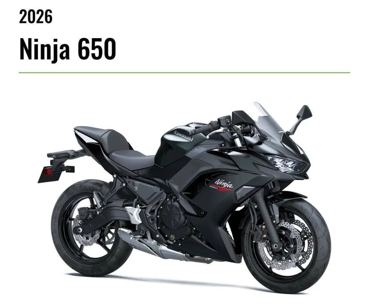 Kawasaki Z 650 (2025 - 26) (2)