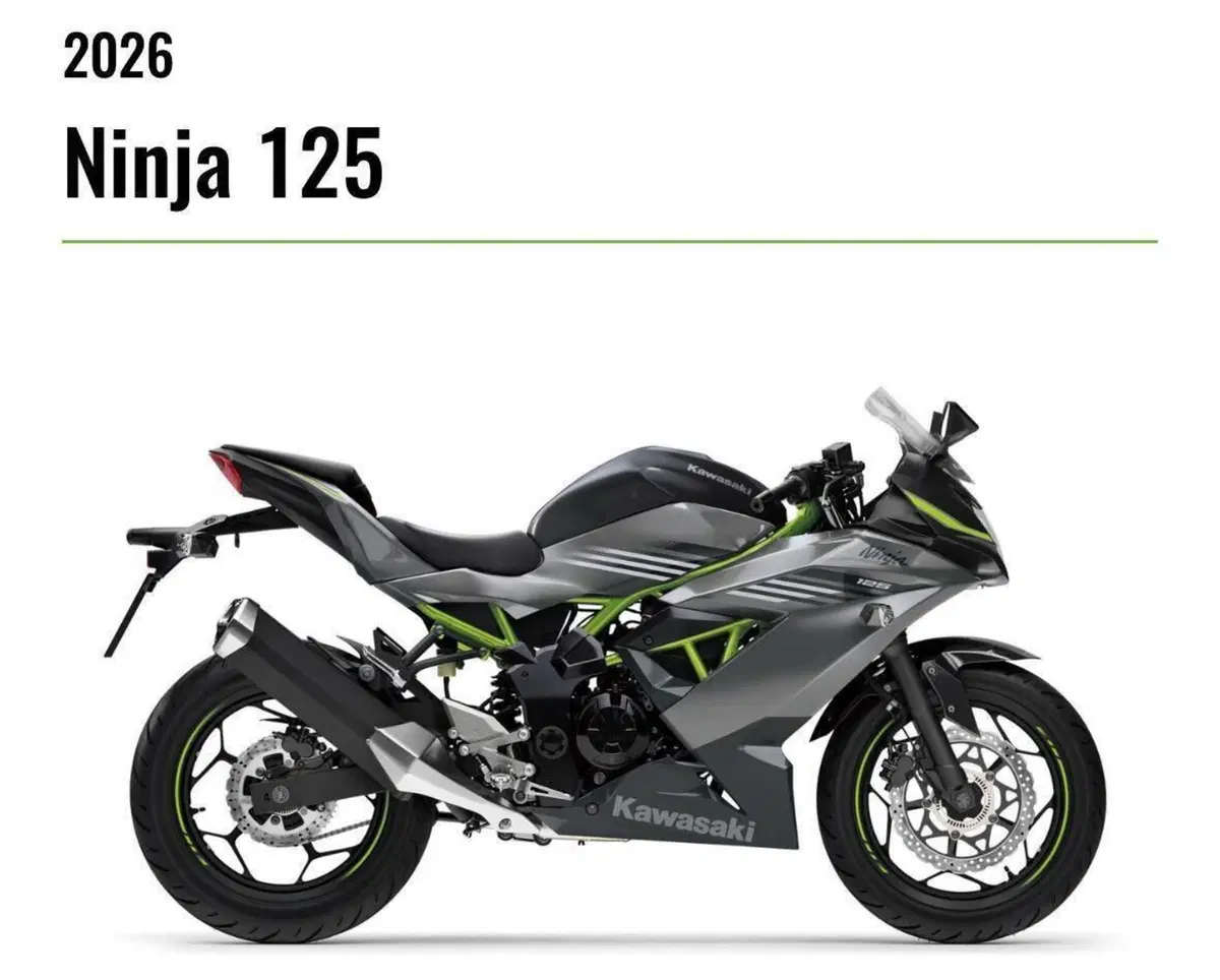 Kawasaki Ninja 125 (2025 - 26) (2)