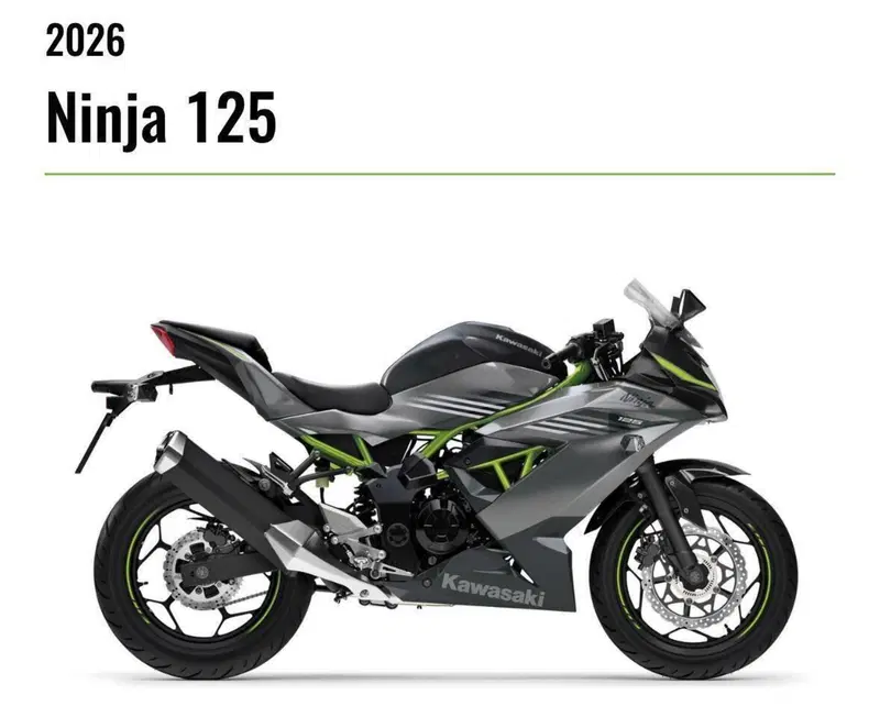 Kawasaki Ninja 125 (2025 - 26) (2)