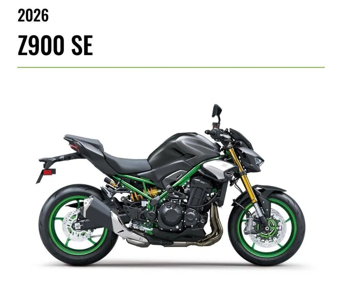 Kawasaki Z 900 SE (2025 - 26)