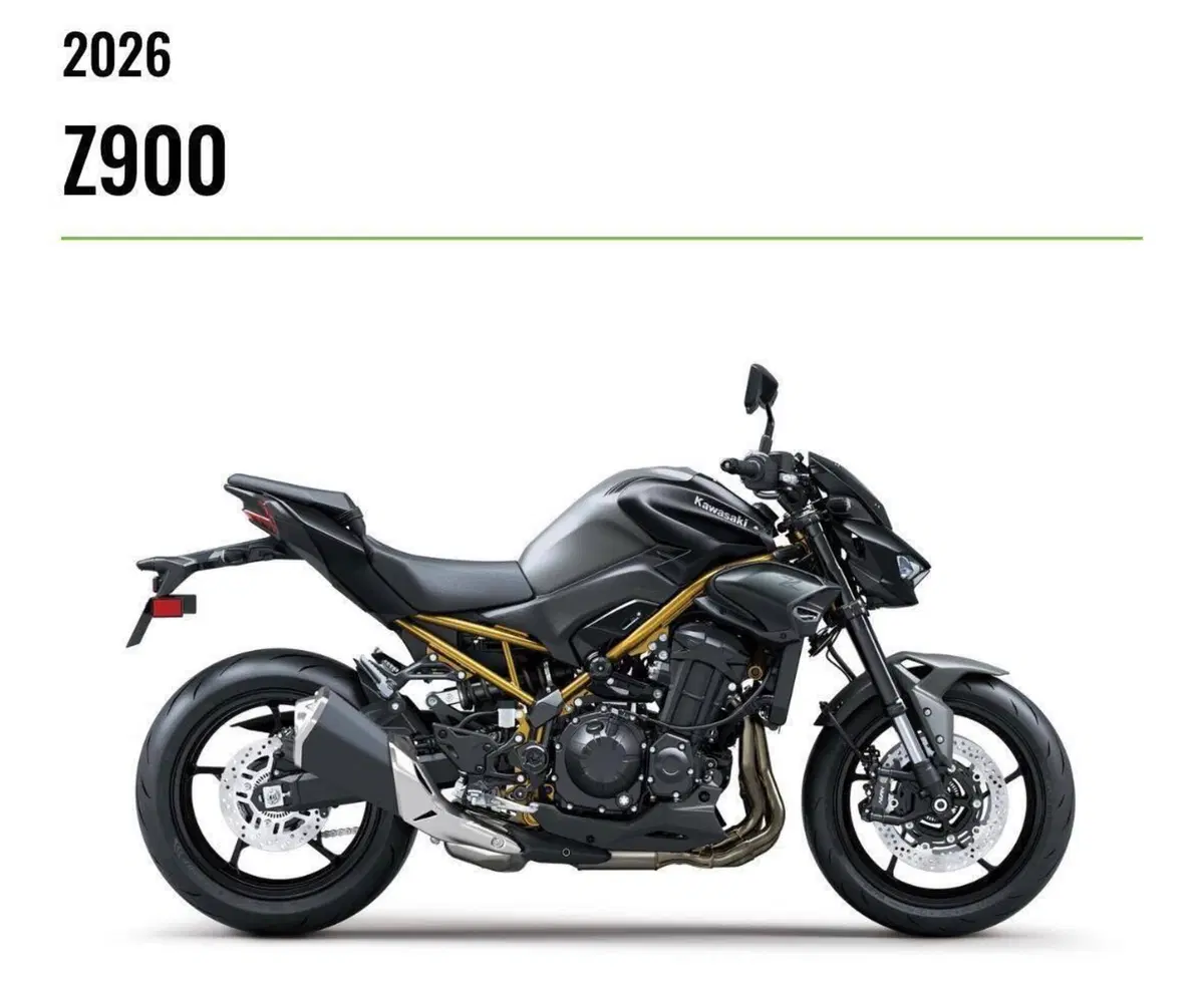 Kawasaki Z 900 (2025 - 26)