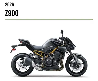 Kawasaki Z 900 (2025 - 26) nuova