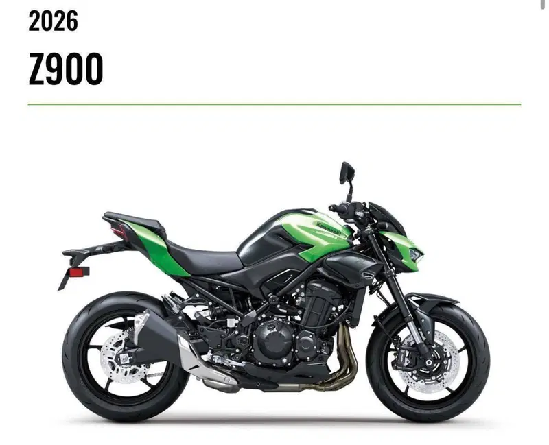 Kawasaki Z 900 (2025 - 26) (2)