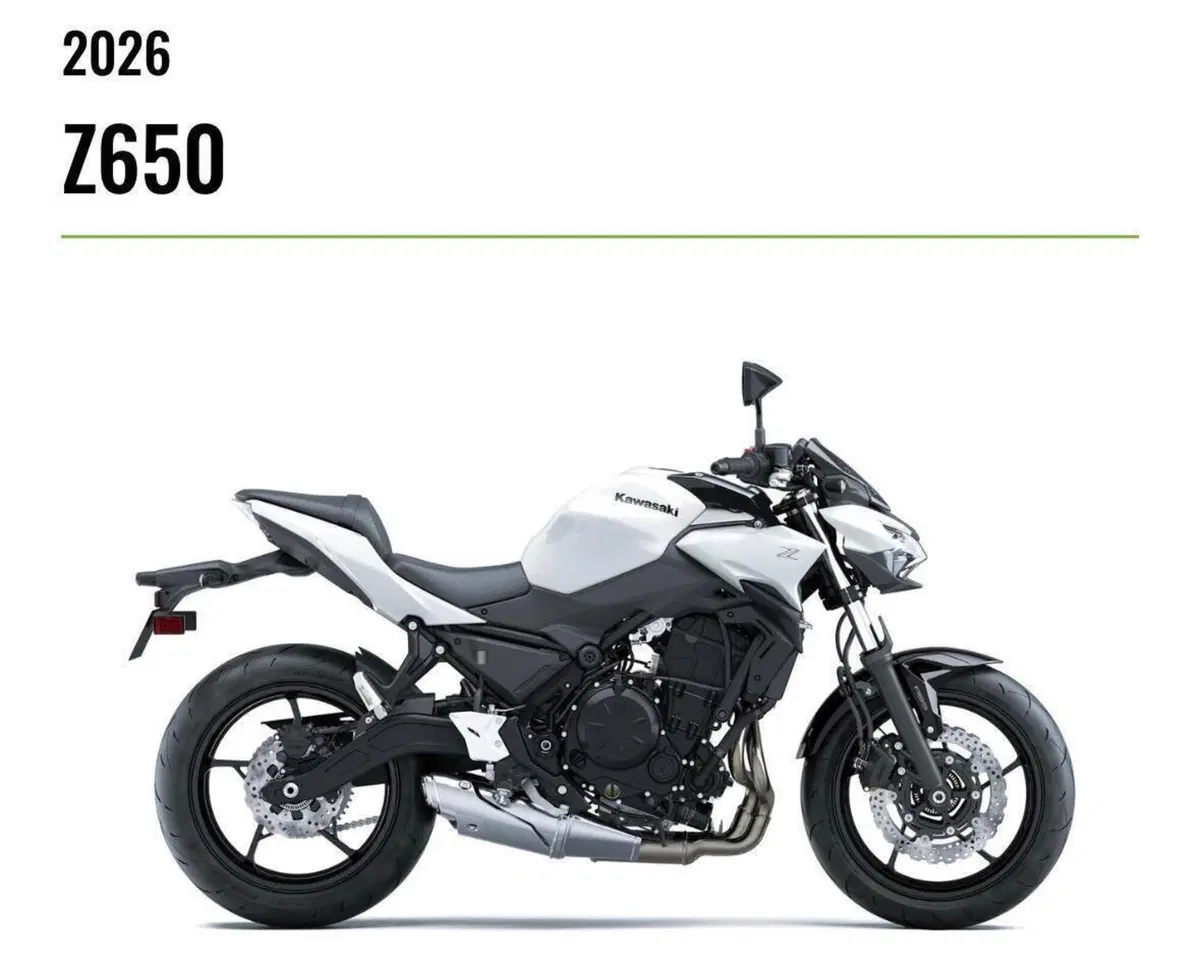 Kawasaki Z 650 (2025 - 26)
