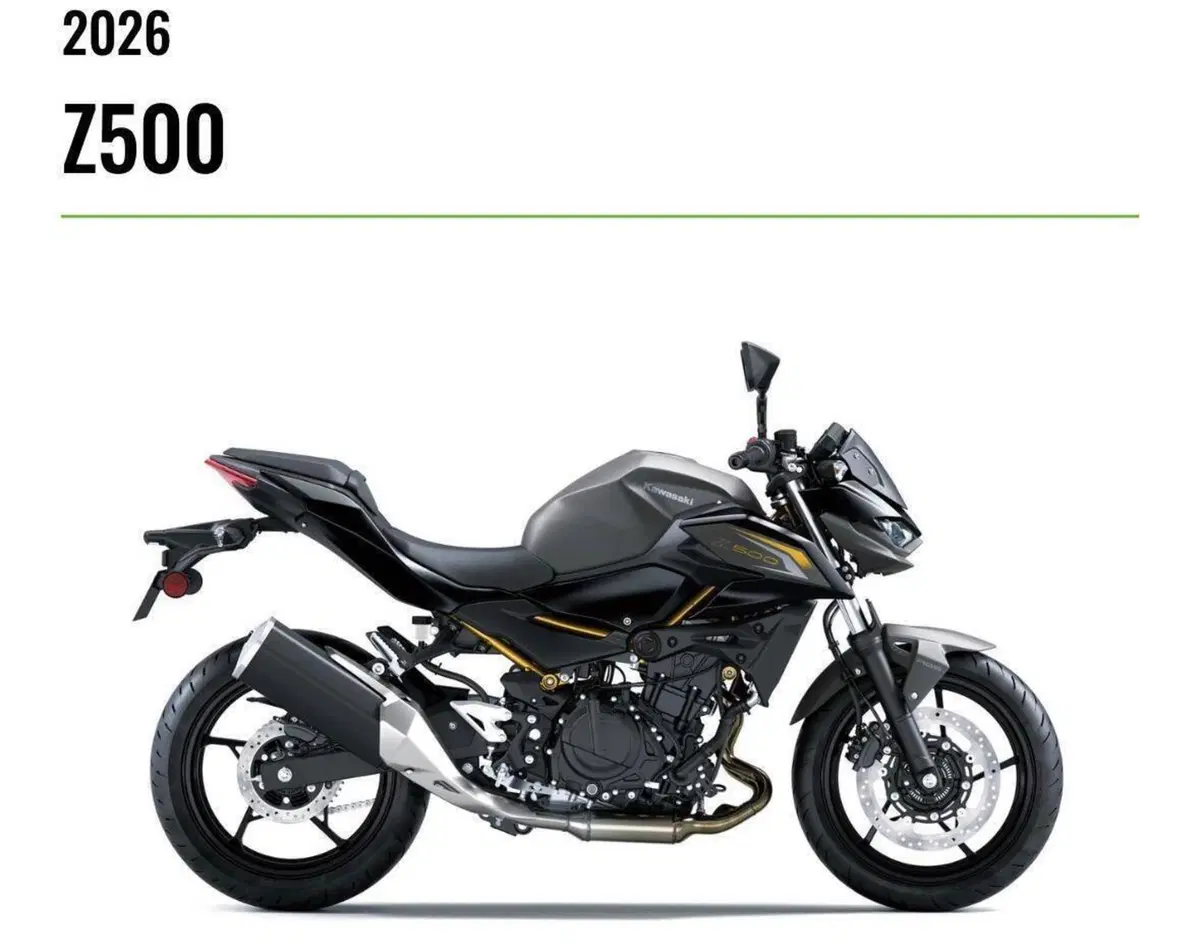 Kawasaki Z 500 (2024 - 26) (2)