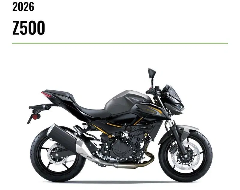 Kawasaki Z 500 (2024 - 26) (2)