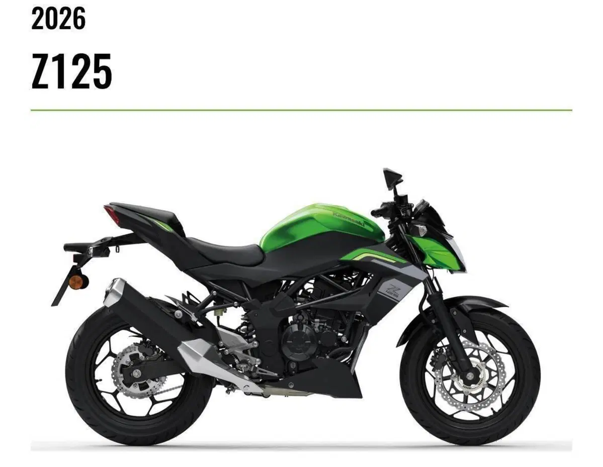 Kawasaki Z 125 (2025 - 26) (2)