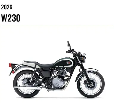 Kawasaki W 230 (2025 - 26) nuova