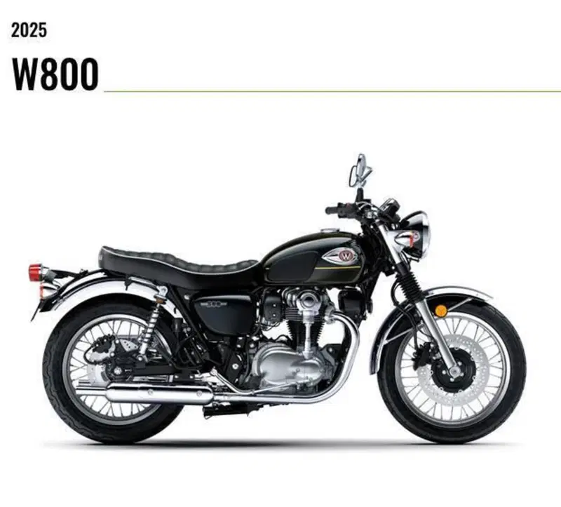 Kawasaki W 800 (2021 - 26)