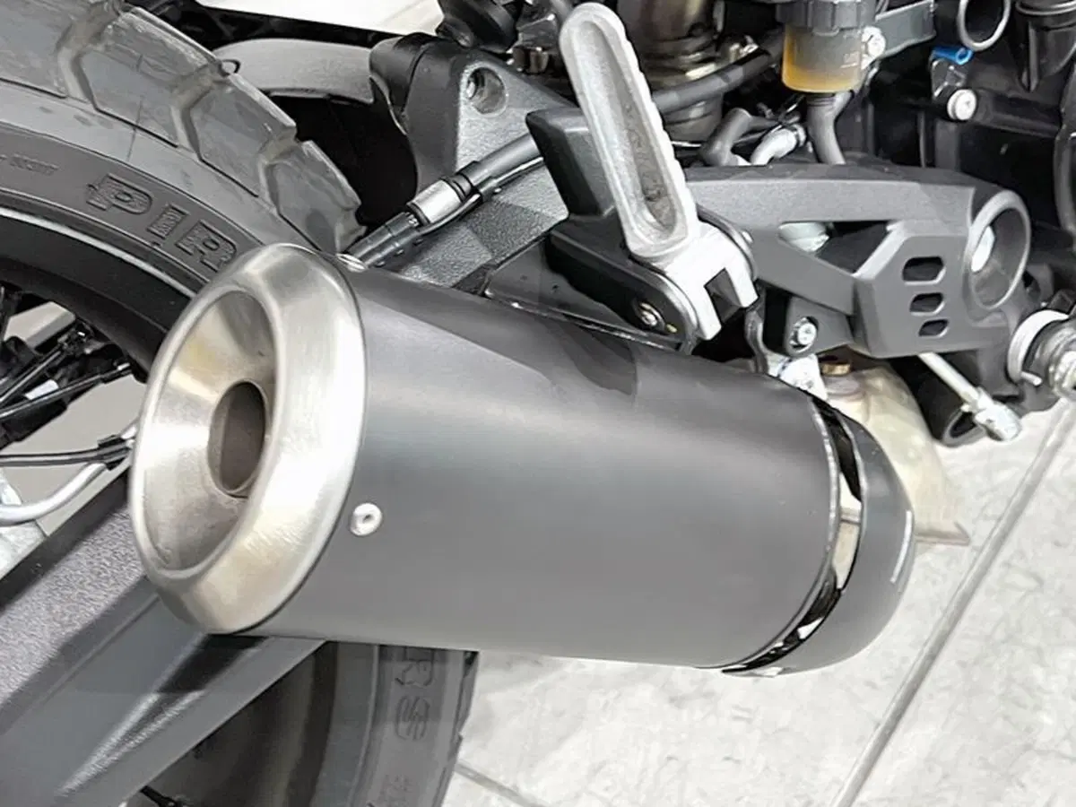 Ducati Scrambler 800 Nightshift (2023 - 24) (5)