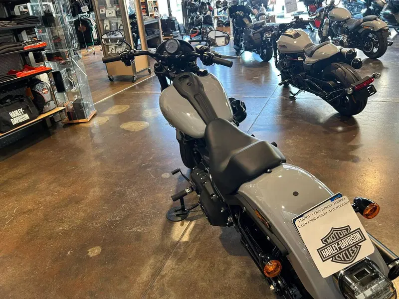 Harley-Davidson Low Rider S (2022 - 24) (5)