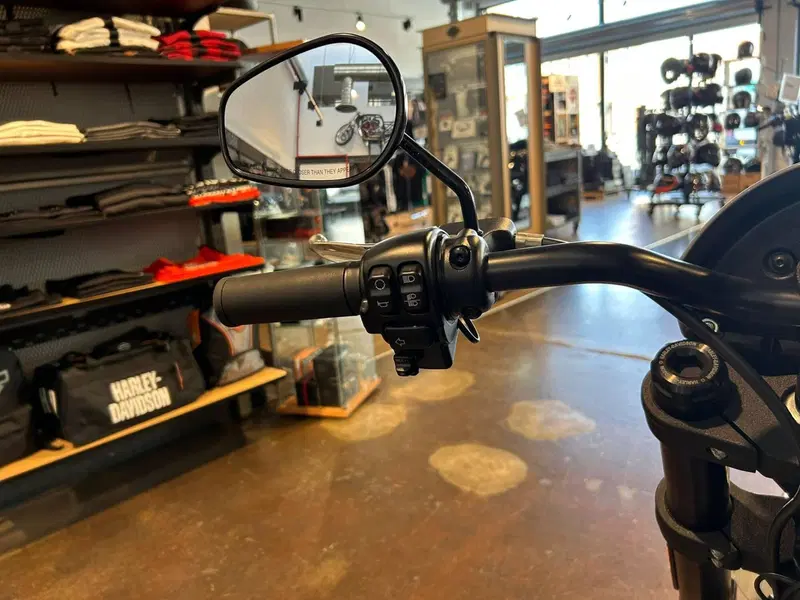 Harley-Davidson Low Rider S (2022 - 24) (7)