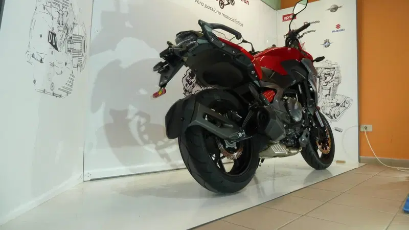 Cyclone RX650 (2025 - 26) (4)