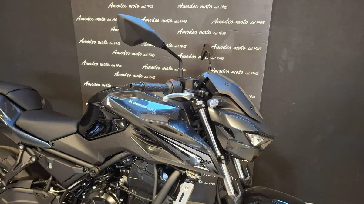 Kawasaki Z 650 S (2026) (8)