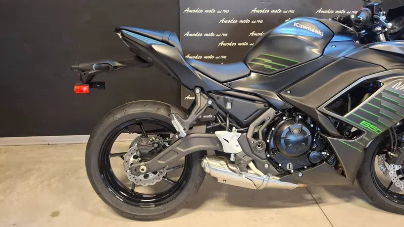 Kawasaki Ninja 650 (2025 - 26) (7)