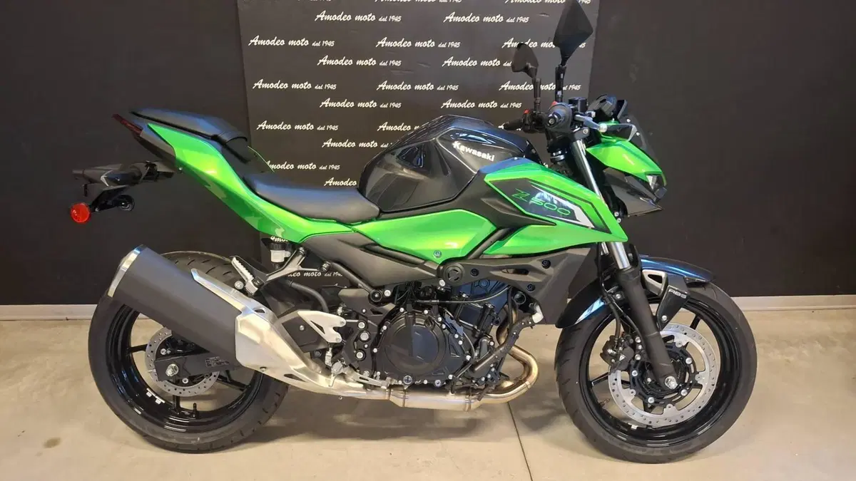 Kawasaki Z 500 (2024 - 26)