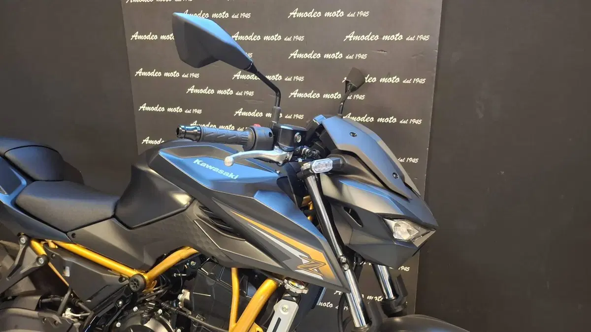 Kawasaki Z 650 S (2026) (4)