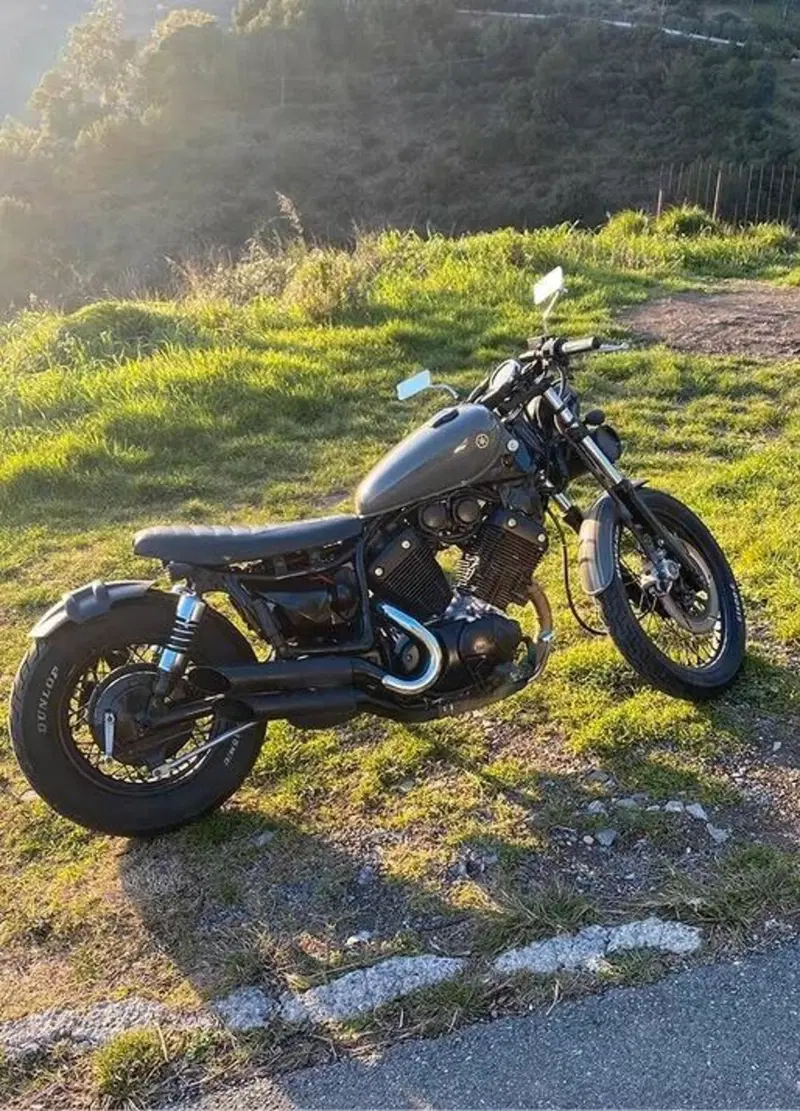 Yamaha XV 535 (1988 - 97) (6)