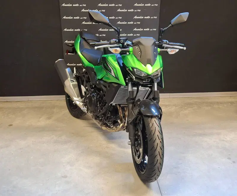 Kawasaki Z 500 (2024 - 26) (3)