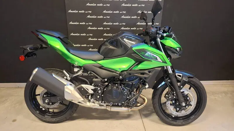 Kawasaki Z 500 (2024 - 26)