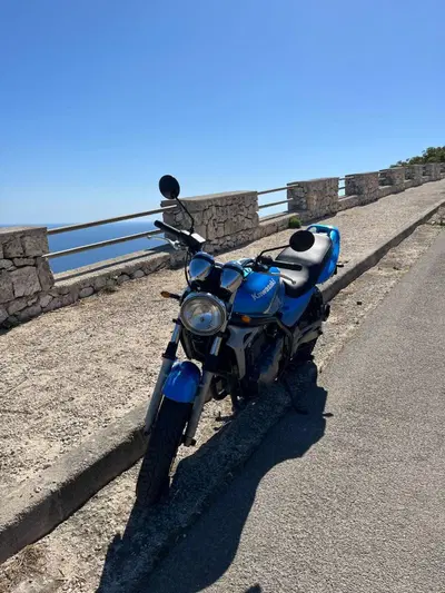 Kawasaki ER-5 500 (2001 - 06) usata
